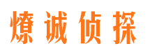 九里背景调查